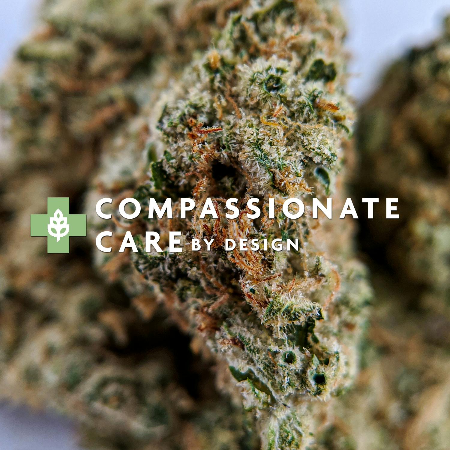 DOJA Watervliet (Recreational) Watervliet, MI Dispensary Leafly